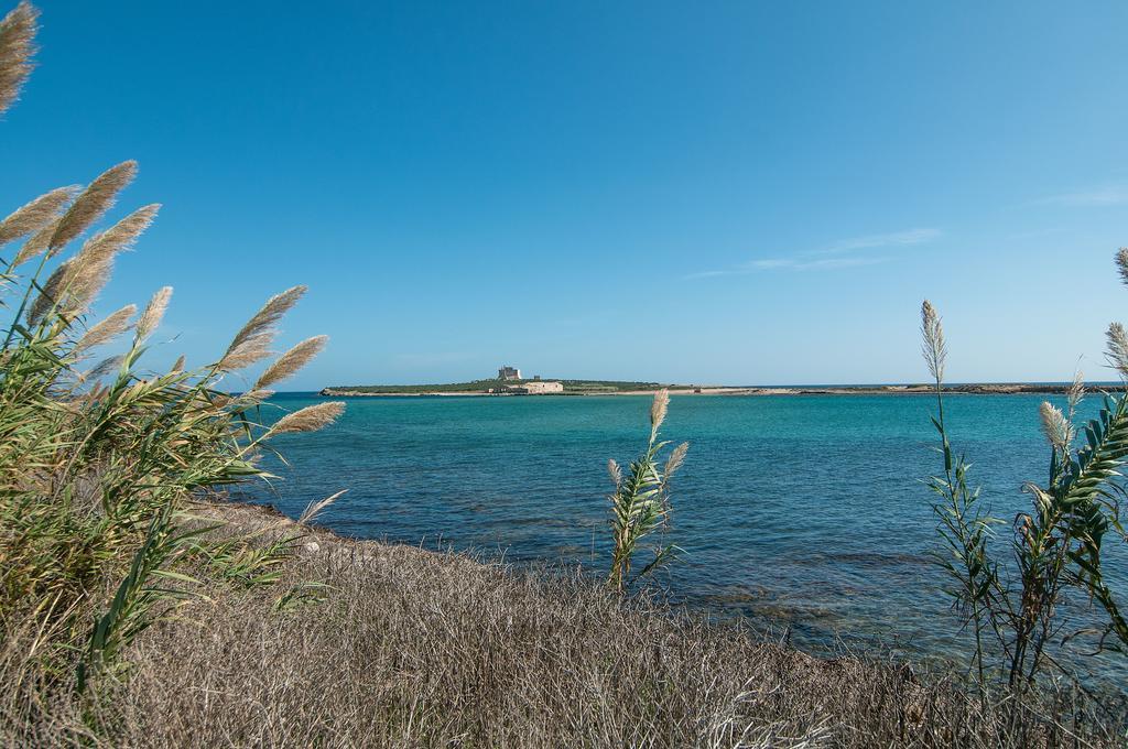 La Nicchia Διαμέρισμα Νότο Εξωτερικό φωτογραφία